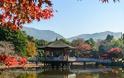 Νάρα, η πόλη της Ιαπωνίας με την τεράστια πολιτιστική ιστορία