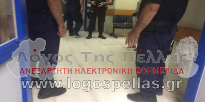 Πέλλα: Επιχείρησαν να λιντσάρουν τον δολοφόνο της γιαγιάς – Νέα στοιχεία για το φοβερό έγκλημα - Φωτογραφία 2