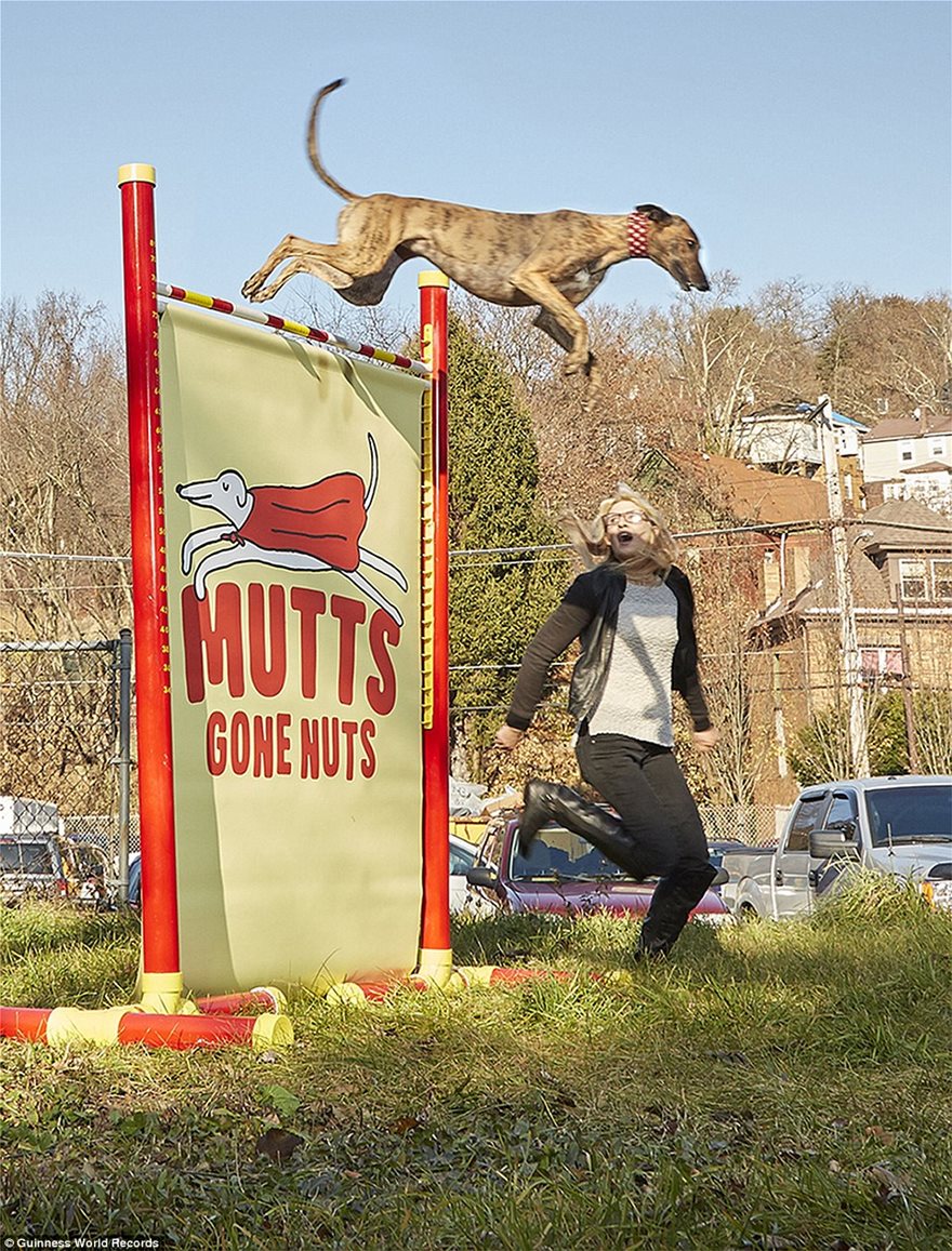 Τα Ρεκόρ Γκίνες για το 2019: Σκυλί πηδάει 2 μέτρα, Γιγαντιαίες βελόνες και η 83χρονη DJ - Φωτογραφία 2