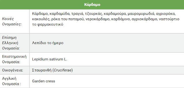 Το κάρδαμο και οι ιδιότητές του - Φωτογραφία 2