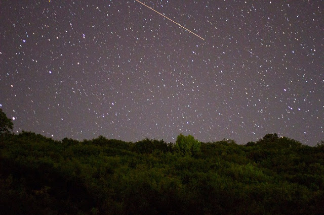 Μαγικές εικόνες από την αστροβραδιά στο βελανιδοδάσος Ξηρομέρου - Φωτογραφία 5