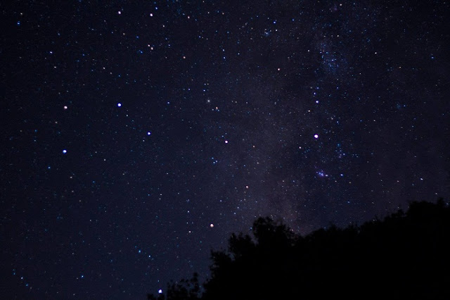 Μαγικές εικόνες από την αστροβραδιά στο βελανιδοδάσος Ξηρομέρου - Φωτογραφία 6