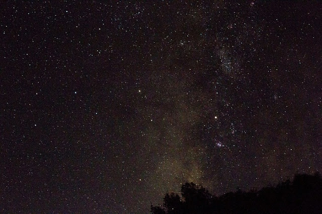 Μαγικές εικόνες από την αστροβραδιά στο βελανιδοδάσος Ξηρομέρου - Φωτογραφία 7