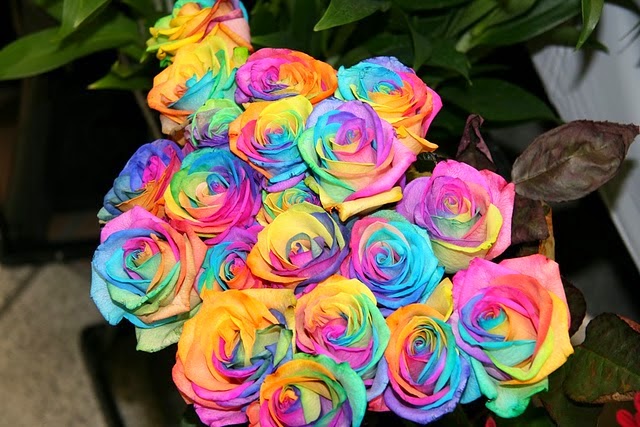 Δείτε το πιό όμορφο και περίεργο τριαντάφυλλο του κόσμου... [photo] - Φωτογραφία 3