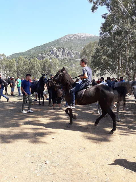 Εντυπωσίασαν οι 10οι Ιππικοί αγώνες στη ΒΟΝΙΤΣΑ | ΦΩΤΟ: Στέλλα Λιάπη - Φωτογραφία 119