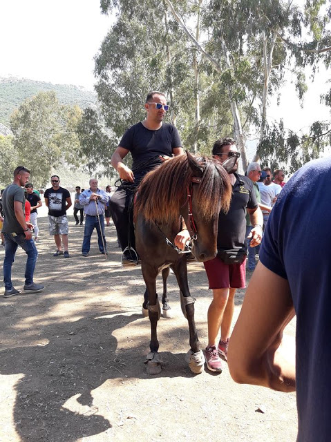 Εντυπωσίασαν οι 10οι Ιππικοί αγώνες στη ΒΟΝΙΤΣΑ | ΦΩΤΟ: Στέλλα Λιάπη - Φωτογραφία 121