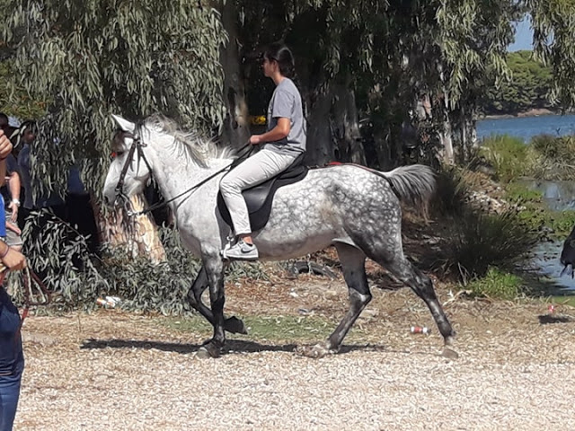 Εντυπωσίασαν οι 10οι Ιππικοί αγώνες στη ΒΟΝΙΤΣΑ | ΦΩΤΟ: Στέλλα Λιάπη - Φωτογραφία 128