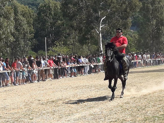 Εντυπωσίασαν οι 10οι Ιππικοί αγώνες στη ΒΟΝΙΤΣΑ | ΦΩΤΟ: Στέλλα Λιάπη - Φωτογραφία 138