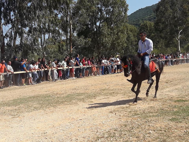 Εντυπωσίασαν οι 10οι Ιππικοί αγώνες στη ΒΟΝΙΤΣΑ | ΦΩΤΟ: Στέλλα Λιάπη - Φωτογραφία 144