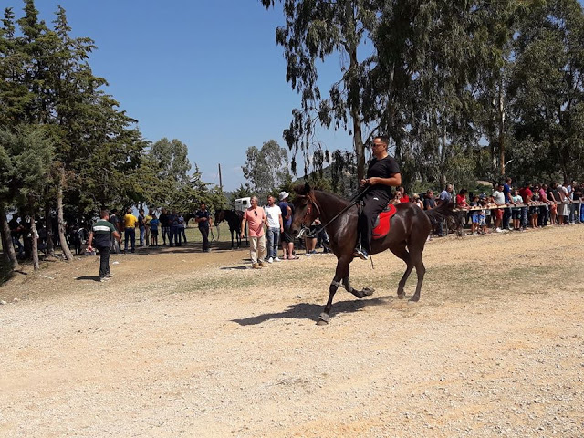 Εντυπωσίασαν οι 10οι Ιππικοί αγώνες στη ΒΟΝΙΤΣΑ | ΦΩΤΟ: Στέλλα Λιάπη - Φωτογραφία 146