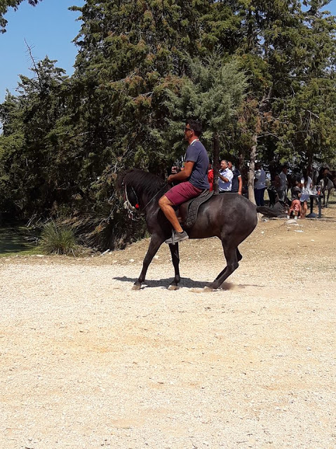 Εντυπωσίασαν οι 10οι Ιππικοί αγώνες στη ΒΟΝΙΤΣΑ | ΦΩΤΟ: Στέλλα Λιάπη - Φωτογραφία 155