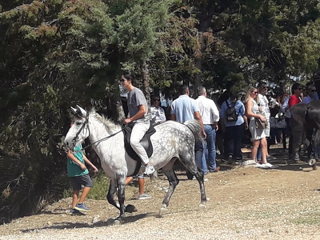 Εντυπωσίασαν οι 10οι Ιππικοί αγώνες στη ΒΟΝΙΤΣΑ | ΦΩΤΟ: Στέλλα Λιάπη - Φωτογραφία 159