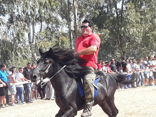 Εντυπωσίασαν οι 10οι Ιππικοί αγώνες στη ΒΟΝΙΤΣΑ | ΦΩΤΟ: Στέλλα Λιάπη - Φωτογραφία 16