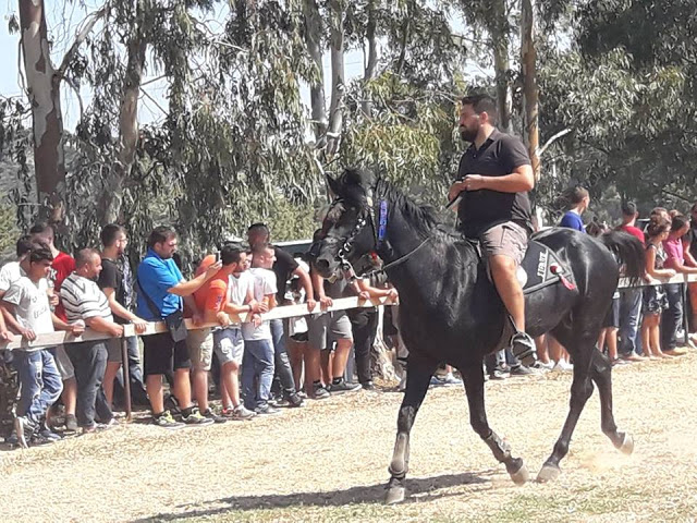 Εντυπωσίασαν οι 10οι Ιππικοί αγώνες στη ΒΟΝΙΤΣΑ | ΦΩΤΟ: Στέλλα Λιάπη - Φωτογραφία 163