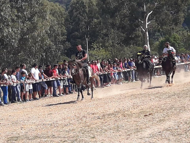 Εντυπωσίασαν οι 10οι Ιππικοί αγώνες στη ΒΟΝΙΤΣΑ | ΦΩΤΟ: Στέλλα Λιάπη - Φωτογραφία 168