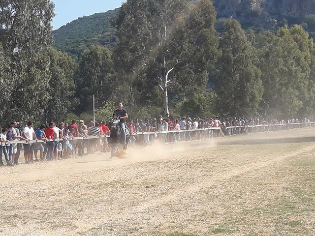 Εντυπωσίασαν οι 10οι Ιππικοί αγώνες στη ΒΟΝΙΤΣΑ | ΦΩΤΟ: Στέλλα Λιάπη - Φωτογραφία 170