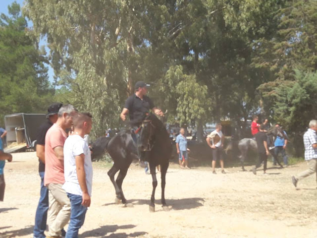 Εντυπωσίασαν οι 10οι Ιππικοί αγώνες στη ΒΟΝΙΤΣΑ | ΦΩΤΟ: Στέλλα Λιάπη - Φωτογραφία 171