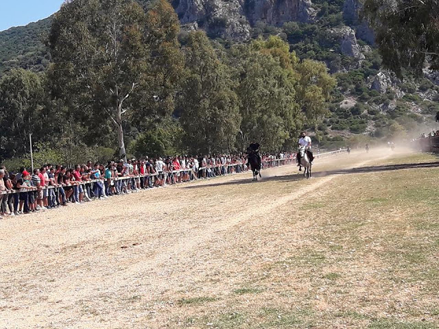 Εντυπωσίασαν οι 10οι Ιππικοί αγώνες στη ΒΟΝΙΤΣΑ | ΦΩΤΟ: Στέλλα Λιάπη - Φωτογραφία 2