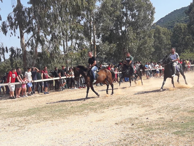 Εντυπωσίασαν οι 10οι Ιππικοί αγώνες στη ΒΟΝΙΤΣΑ | ΦΩΤΟ: Στέλλα Λιάπη - Φωτογραφία 28