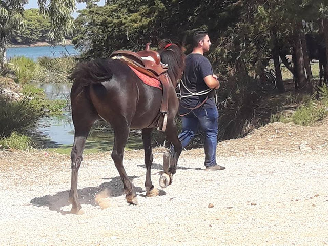 Εντυπωσίασαν οι 10οι Ιππικοί αγώνες στη ΒΟΝΙΤΣΑ | ΦΩΤΟ: Στέλλα Λιάπη - Φωτογραφία 44