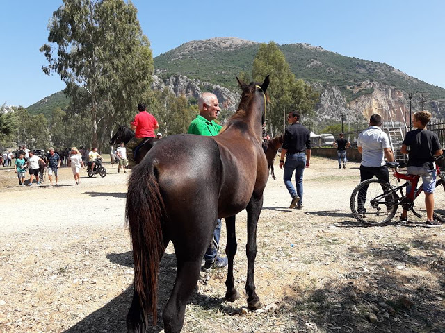 Εντυπωσίασαν οι 10οι Ιππικοί αγώνες στη ΒΟΝΙΤΣΑ | ΦΩΤΟ: Στέλλα Λιάπη - Φωτογραφία 52