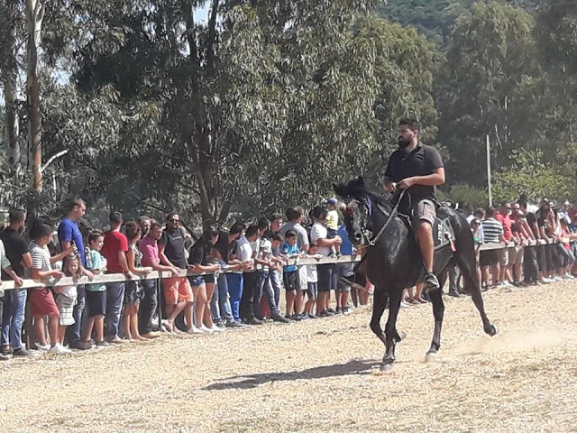 Εντυπωσίασαν οι 10οι Ιππικοί αγώνες στη ΒΟΝΙΤΣΑ | ΦΩΤΟ: Στέλλα Λιάπη - Φωτογραφία 54