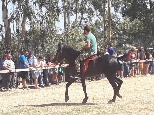 Εντυπωσίασαν οι 10οι Ιππικοί αγώνες στη ΒΟΝΙΤΣΑ | ΦΩΤΟ: Στέλλα Λιάπη - Φωτογραφία 58