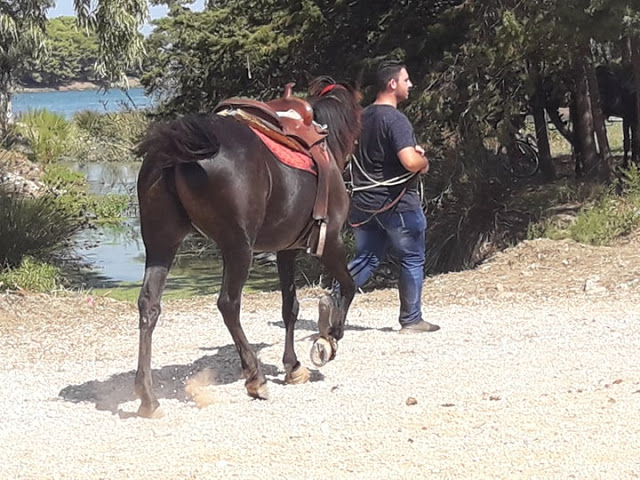 Εντυπωσίασαν οι 10οι Ιππικοί αγώνες στη ΒΟΝΙΤΣΑ | ΦΩΤΟ: Στέλλα Λιάπη - Φωτογραφία 61