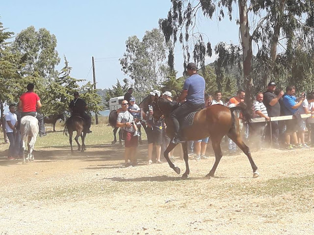 Εντυπωσίασαν οι 10οι Ιππικοί αγώνες στη ΒΟΝΙΤΣΑ | ΦΩΤΟ: Στέλλα Λιάπη - Φωτογραφία 86