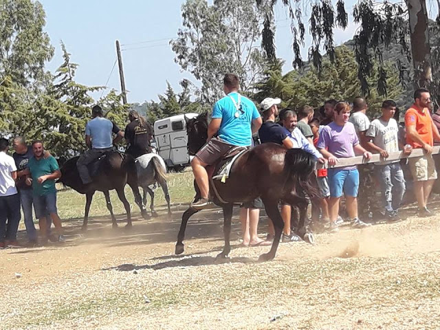 Εντυπωσίασαν οι 10οι Ιππικοί αγώνες στη ΒΟΝΙΤΣΑ | ΦΩΤΟ: Στέλλα Λιάπη - Φωτογραφία 90