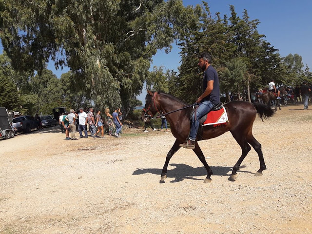 Εντυπωσίασαν οι 10οι Ιππικοί αγώνες στη ΒΟΝΙΤΣΑ | ΦΩΤΟ: Στέλλα Λιάπη - Φωτογραφία 94