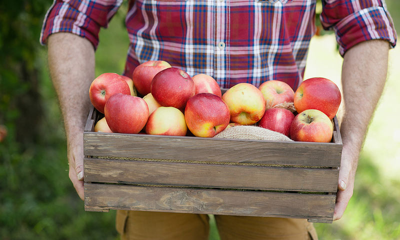 Τα 5 πιο σημαντικά οφέλη που έχουν τα μήλα στον οργανισμό - Φωτογραφία 1