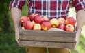 Τα 5 πιο σημαντικά οφέλη που έχουν τα μήλα στον οργανισμό