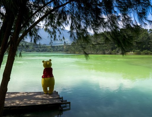 Οι φανατικοί του Winnie the Pooh μπορούν να βρεθούν στο μέρος που «γεννήθηκε» - Φωτογραφία 1