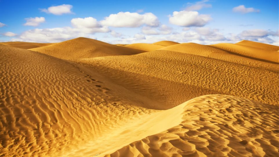 Ερευνητές θέλουν να «πρασινίσουν» την έρημο Σαχάρα - Φωτογραφία 1