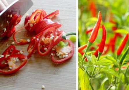 Τρώγοντας αυτές τις πιπεριές αυξάνετε το προσδόκιμο ζωής σας κατά 13% λένε οι επιστήμονες! - Φωτογραφία 1