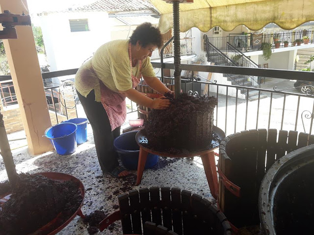 Ο τρύγος στα ΠΑΛΙΑΜΠΕΛΑ | ΦΩΤΟ - Φωτογραφία 88