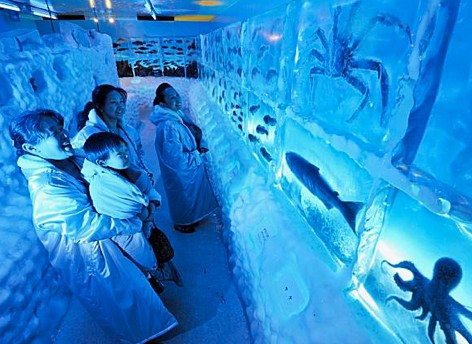 Παγωμένο ενυδρείο στην Ιαπωνία - Φωτογραφία 1