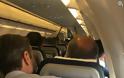 Ο Τσολιάς της «Eλληνοφρένειας» στο ίδιο αεροπλάνο με Μητσοτάκη και Καραμανλή [Photos] - Φωτογραφία 3