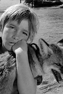Βαγγέλης Ιωαννίδης: Το παιδί-θαύμα του κινηματογράφου που έπαιξε τον γιο του Κωνσταντάρα στην ταινία Ο στρίγγλος που έγινε αρνάκι - Δείτε τον σε μεγάλη ηλικία [photos+video] - Φωτογραφία 4