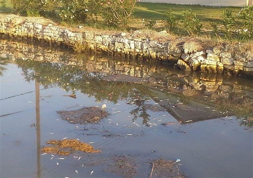 Απίστευτες φωτογραφίες: «Νέκρωσε» το ποτάμι της Λοξίδας στην Κέρκυρα - Φωτογραφία 5