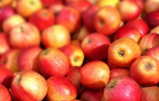 Εργαζόμενοι σε σούπερ μάρκετ πούλησαν... 15.000 μήλα σε έναν μόνο πελάτη και απολύθηκαν! - Φωτογραφία 1