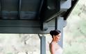 Αντώνης Ρέμος – Υβόννη Μπόσνιακ: Το φωτογραφικό άλμπουμ του παραμυθένιου γάμου τους! - Φωτογραφία 30