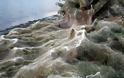 Πρωτόγνωρο θέαμα: Πέπλο αράχνης 300 μέτρων στο Αιτωλικό! (φωτό) - Φωτογραφία 1