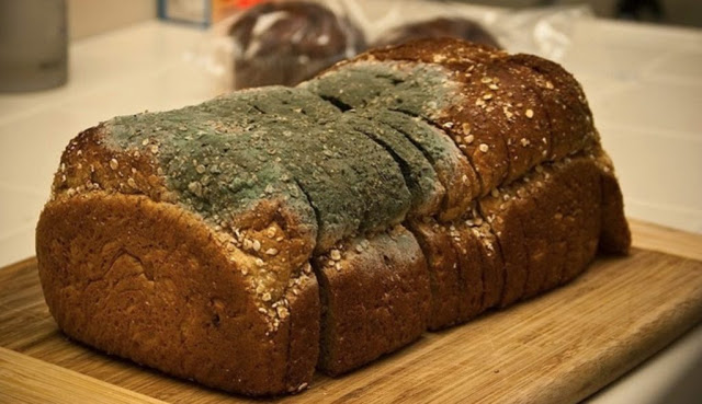 Lidl: Αποσύρθηκε μουχλιασμένο ψωμί σικάλεως -Οδηγίες στους καταναλωτές - Φωτογραφία 1