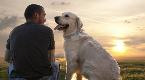 Σκύλος & άνθρωπος: Μια σχέση πραγματικής αγάπης &  αφoσίωσης - Φωτογραφία 1