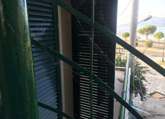Εικόνες ταινίας θρίλερ στο Αιτωλικό - Αράχνες και κουνούπια κύκλωσαν τα σπίτια [photos+video] - Φωτογραφία 7
