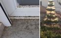 Εικόνες ταινίας θρίλερ στο Αιτωλικό - Αράχνες και κουνούπια κύκλωσαν τα σπίτια [photos+video]