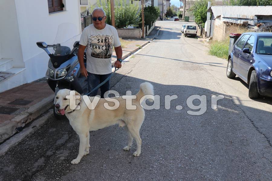 Μήνυση και 500 Ευρώ πρόστιμο για τον Παλαιοκώστα που γαβγίζει [photo+video] - Φωτογραφία 3