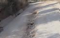 Επικίνδυνος και κατεστραμμένος ο χωματόδρομος προς ΧΥΤΑ Παλαίρου | ΦΩΤΟ